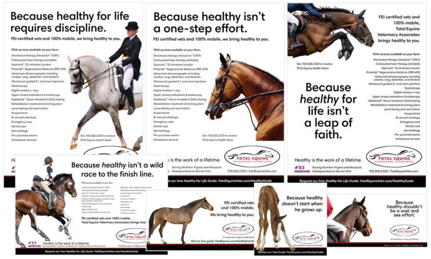 total equine veterinary associates campaign CCS Innovations